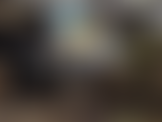 Piloto do avião que caiu em Goiânia diz que motor sofreu pane no ar