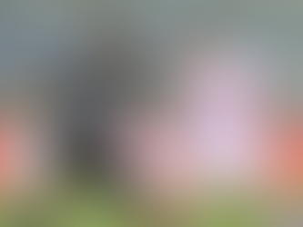 Vila Nova vence o Paysandu fora de casa e consegue reação na Série B