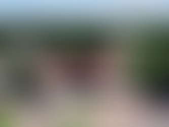 Detran-GO alerta sobre golpes de falsa multa e suspensão de CNH