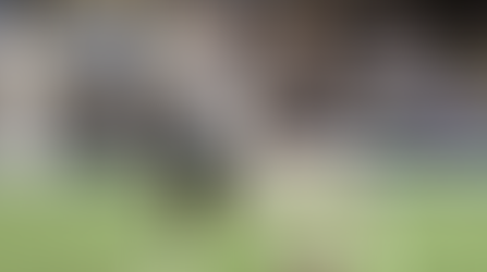 Vasco e Fluminense fazem o terceiro Clássico dos Gigantes da temporada