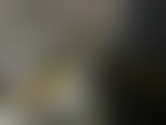 Funcionário é preso suspeito de planejar atentado terrorista contra colegas de trabalho, em Jataí 