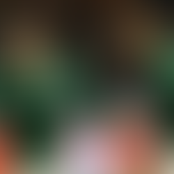 Apenas Palmeiras, Galo, Vasco e Santos disputam três títulos em 2026