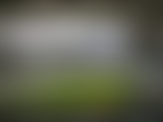 Deputados do Rio querem vender o Maracanã: complexo esportivo e aldeia poderiam render R$2 bi, estima parlamentar