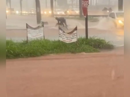 Chuva causa alagamentos em vários pontos de Goiânia na manhã desta terça-feira (12/11)