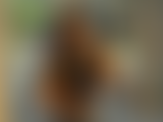 Construtor perdeu R$ 1,6 milhão após cair em golpe aplicado por empresária, diz filha