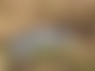 Mulher é encontrada morta às margens de estrada vicinal entre Abadia de Goiás e Guapó; ex é suspeito