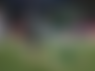 Santos mira quebrar jejum histórico em casa para sair do Z4