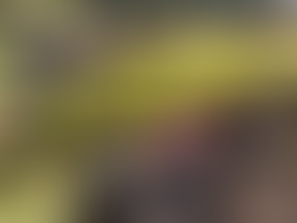 Grave acidente é registrado no setor Nossa Senhora de Fátima, em Mineiros