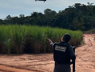 OPERAÇÃO NARKE 6: polícia civil cumpre 31 mandados, realiza 25 prisões e bloqueia bens de organizações criminosas em Jataí
