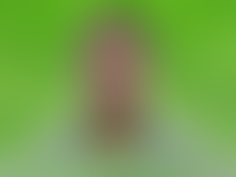 Condenado por estupro, foragido registra candidatura a vice em Goiás e é preso