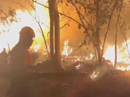 Governo monta gabinete integrado com forças de segurança e fiscalização para combater incêndios em Goiás