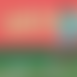 Escalação do Palmeiras: elenco se reapresenta, e Vitor Roque e Paulinho treinam com o grupo