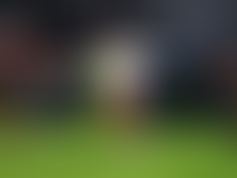 Bragantino x Palmeiras fazem a final do Brasileiro sub-20