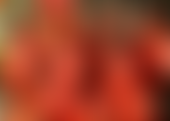 Cidade de Goiás com cerca de 20 mil habitantes se torna a maior produtora de tomate do Brasil, diz IBGE