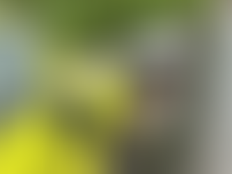 GO: Carro é apreendido com mais de R$ 100 mil em multas após 340 infrações por excesso de velocidade