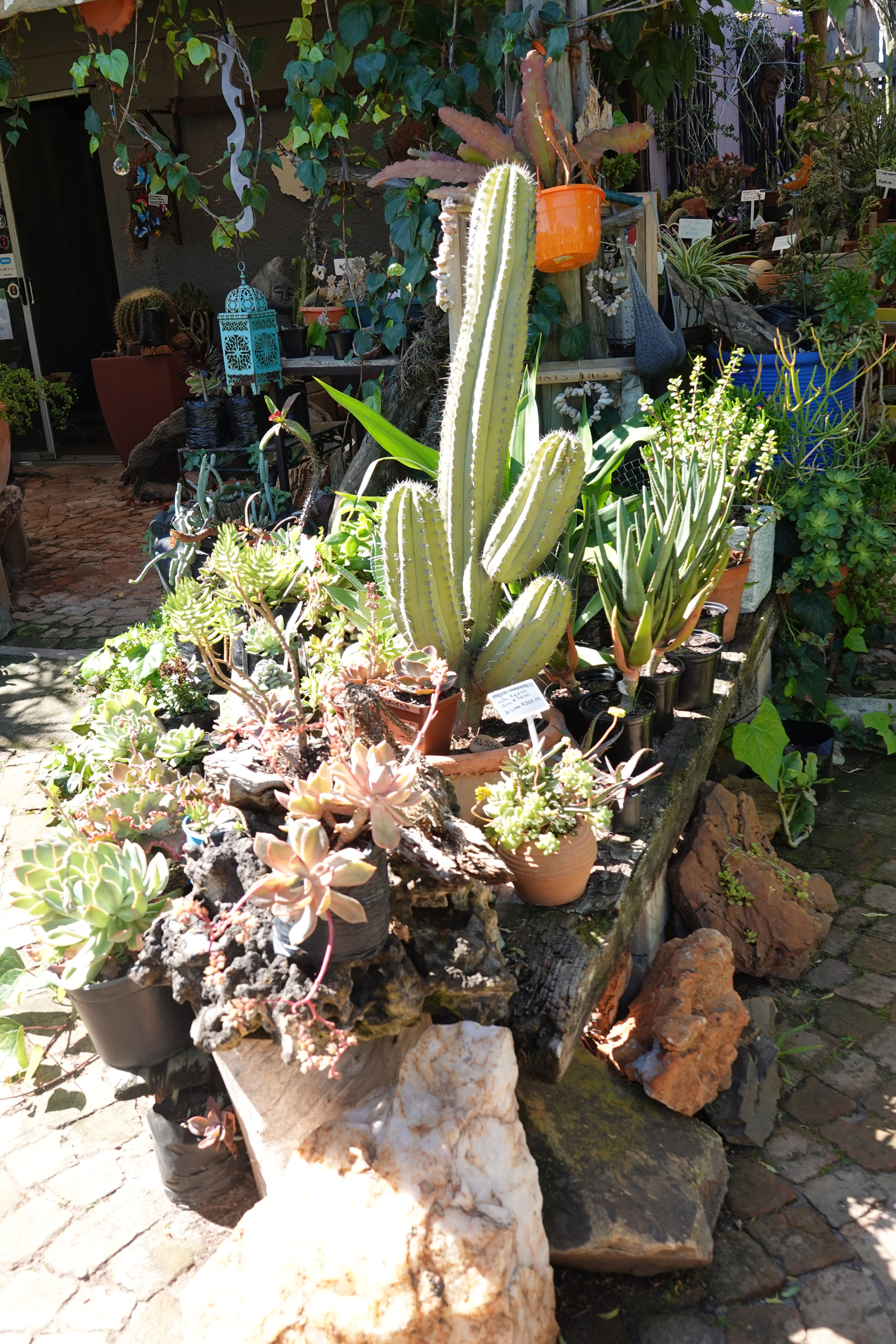 Namib do delivery and potting up services too