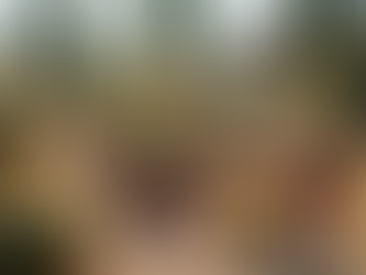 Discover the Beauty of Unique Cactus Nurseries