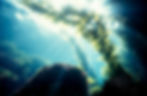 iStock-137029878.jpg