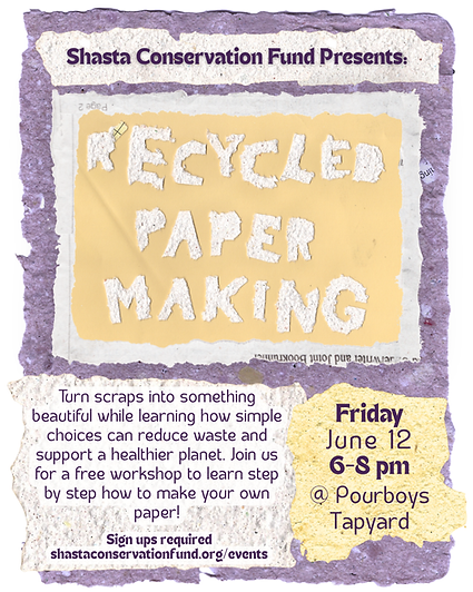 Recycled Paper Making at Pourboys.png