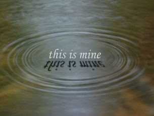 Relational Integrity and the Invisible Physics of Human Life
