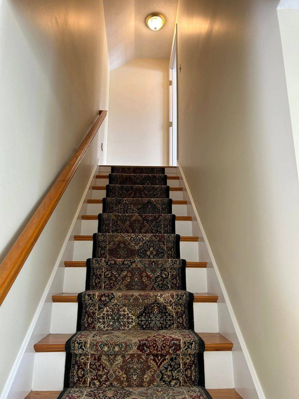 494181696_2546455809079779_7814100874081976497_n