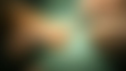 Aphalangia-Phalanx Transfare