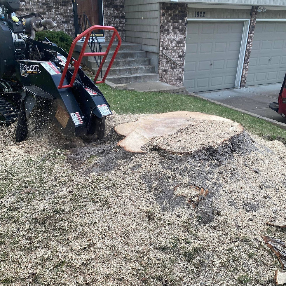 343457294_775998814014832_2327301485748099674_n_edited