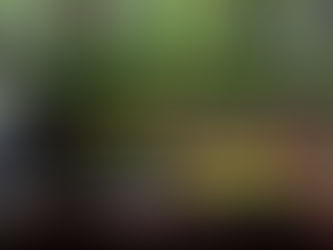 Drugo ime za slobodu 04/2019