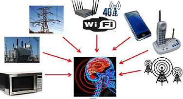Harmful high frequency EMF rays have a negative effect on the cells