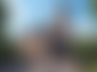 Carreras con más salidas profesionales en Países Bajos