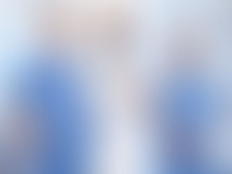 ¿Qué carreras se pueden estudiar en inglés en los Países Bajos?