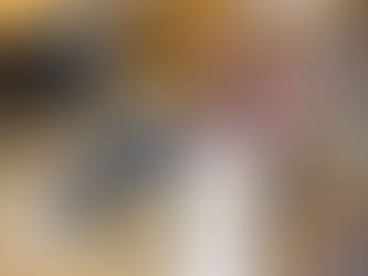 ¿Qué diferencias hay entre estudiar en España y en los Países Bajos?