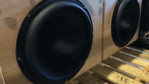 Speaker driver motion