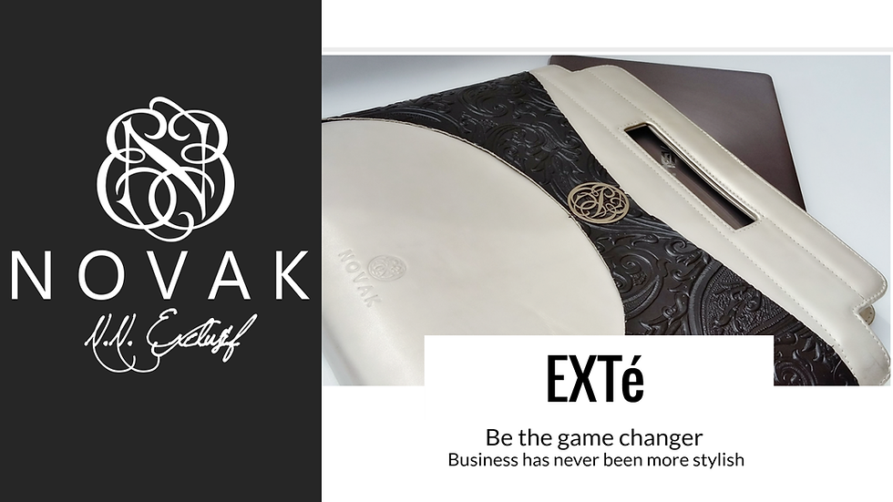 Thumbnail: EXTé stylish laptop bag