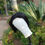 Thumbnail: Bobiana Brazilian Wig