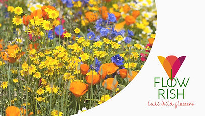 flower logo