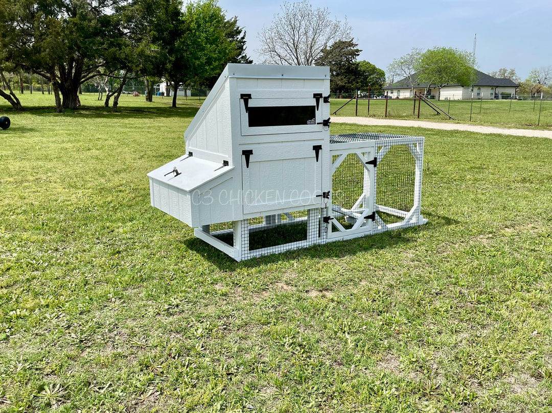 Mini Leghorn Coop - Currently Available