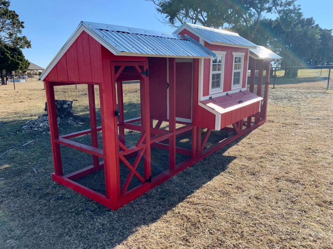 oversized red coop 2.jpg