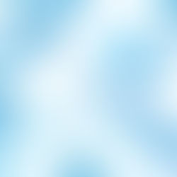 Пара Шекель Доллар