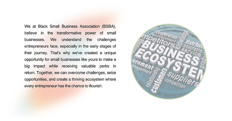 BSBA Website (15).png