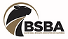 BSBA Logo - 2 color_4x-100.png