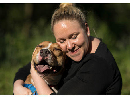 No better option than adoption