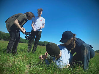 Papilio.FieldShoot2.jpg