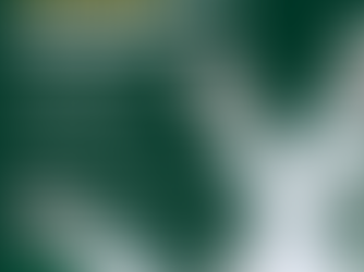 "시간을 거슬러 주름을 개선해주는 닥터 레이나 슈퍼매직 주름 크림"