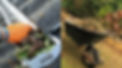 Gutter Cleaning/Hauling