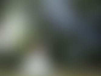 Мыльные пузыри, шоу на свадьбу: классные идеи спецэффектов