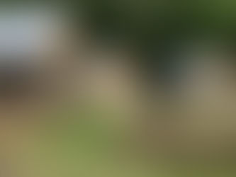 Избинг: что это значит и кому подойдет? Новый тренд в туризме