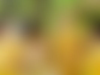 От классики до авангарда: выбираем стиль свадебного торжества