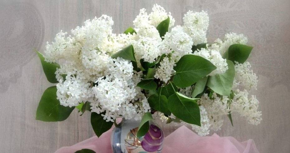свадебный букет невесты белая сирень