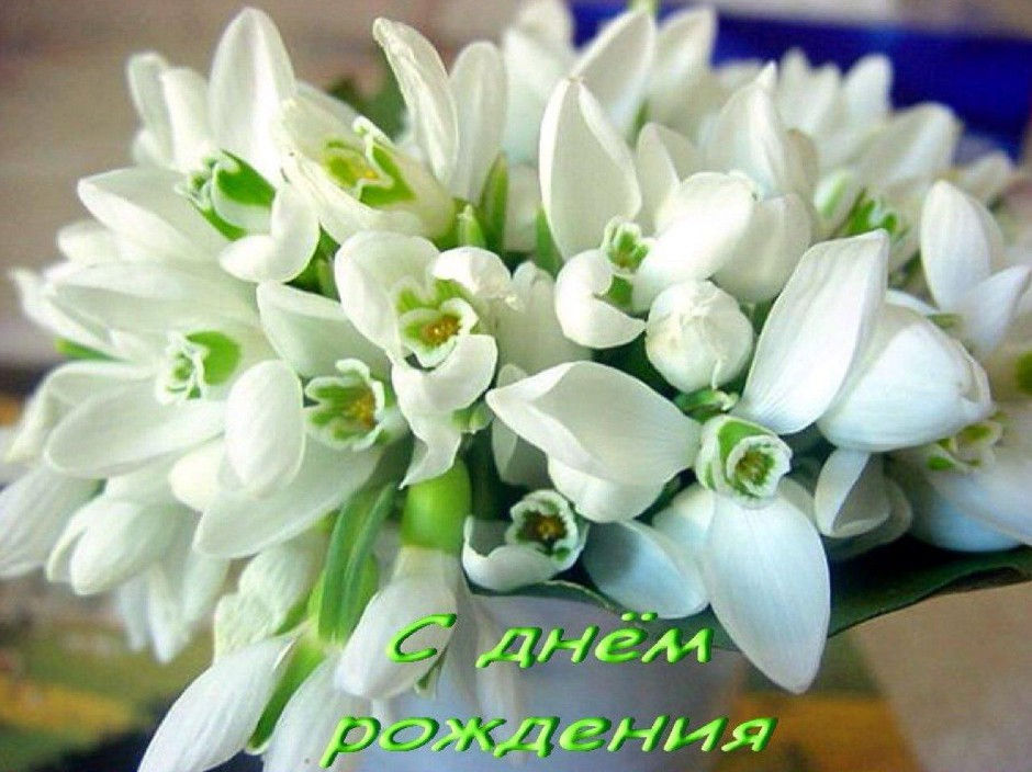 Короткие Поздравления С Днем Рождения Женщине В Прозе, Своими Словами